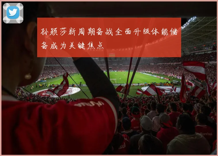 孙颖莎新周期备战全面升级体能储备成为关键焦点